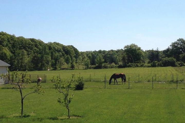 Pet Friendly Hotels In Fenton Mi Bringfido