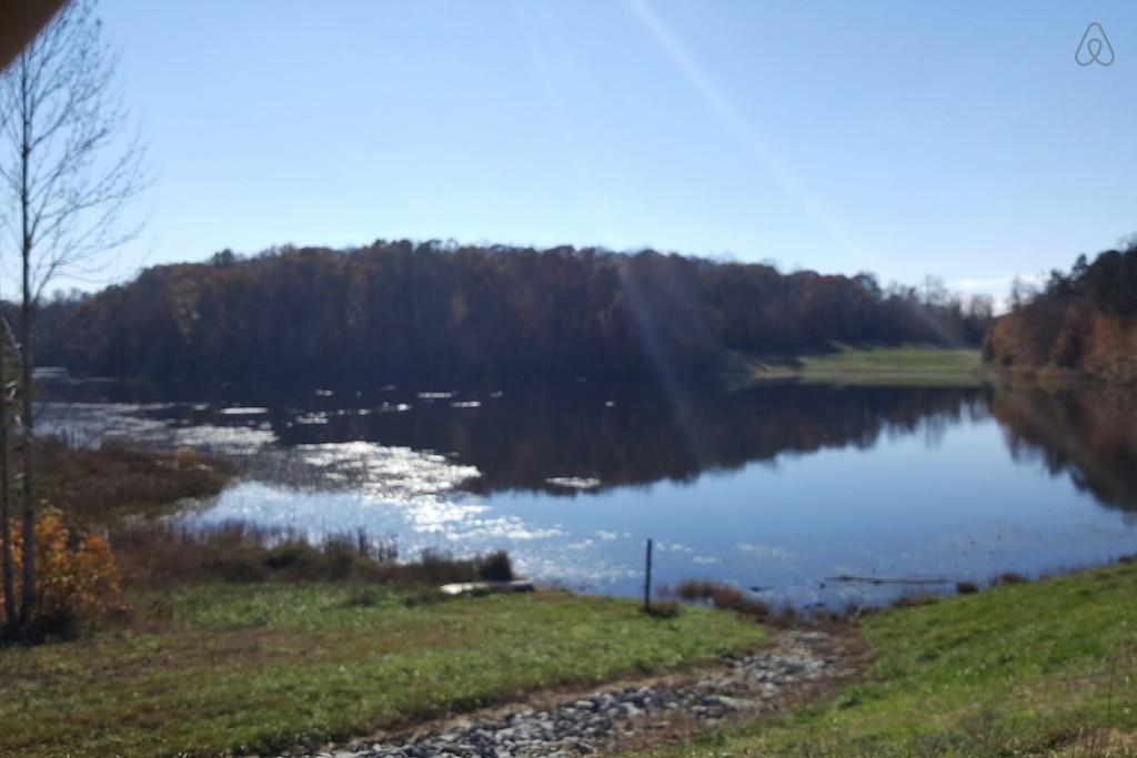 Burkeville Airbnb Rentals Pet Policy