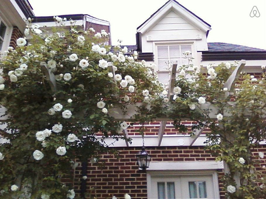 Burkeville Airbnb Rentals Pet Policy