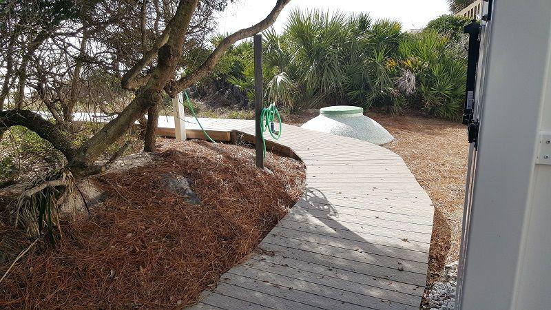 Seeking Seashells On St. George Island