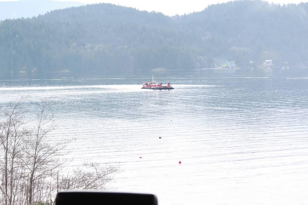 Pet Friendly Vacation Rentals In Gibsons Bc Bringfido