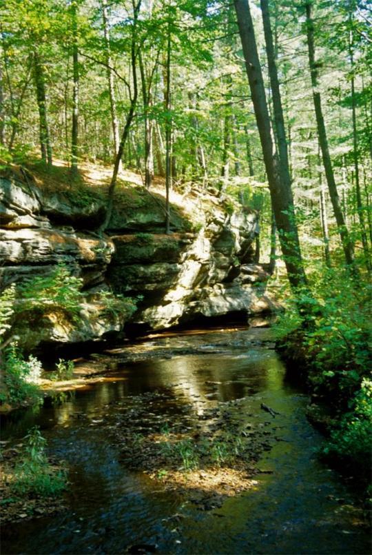 black river state forest backpacking