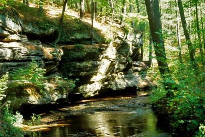 Pet Friendly Black River State Forest Campground