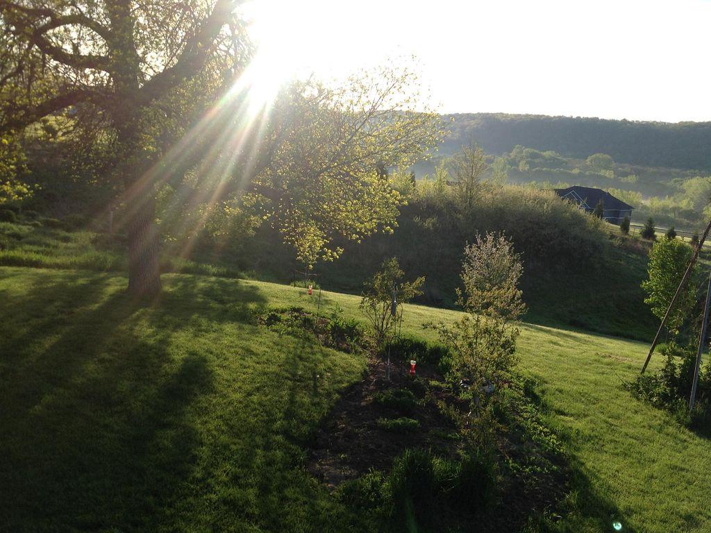 Pet Friendly Vacation Rentals In Decorah Ia Bringfido