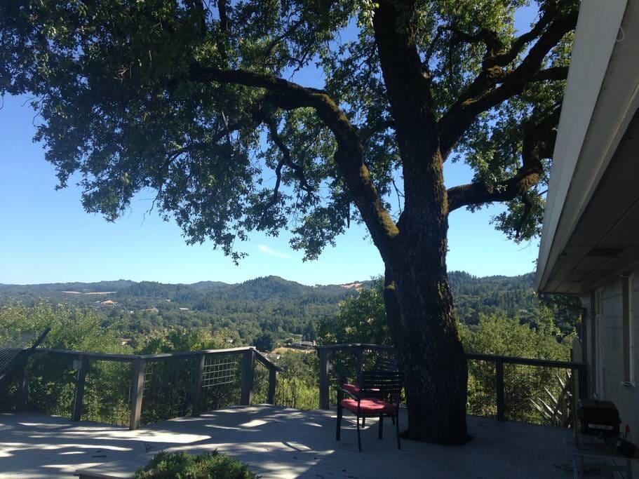 Pet Friendly Cloverdale Airbnb Rentals