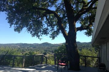 Pet Friendly Hotels In Cloverdale Ca Bringfido