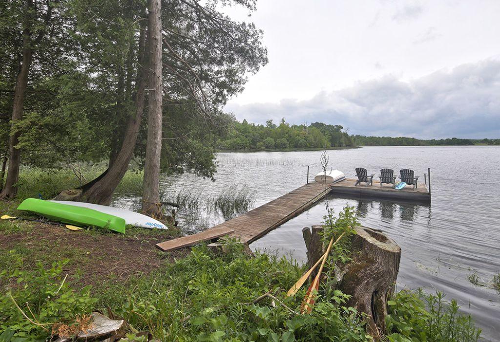 Brewster Lake Pet Policy