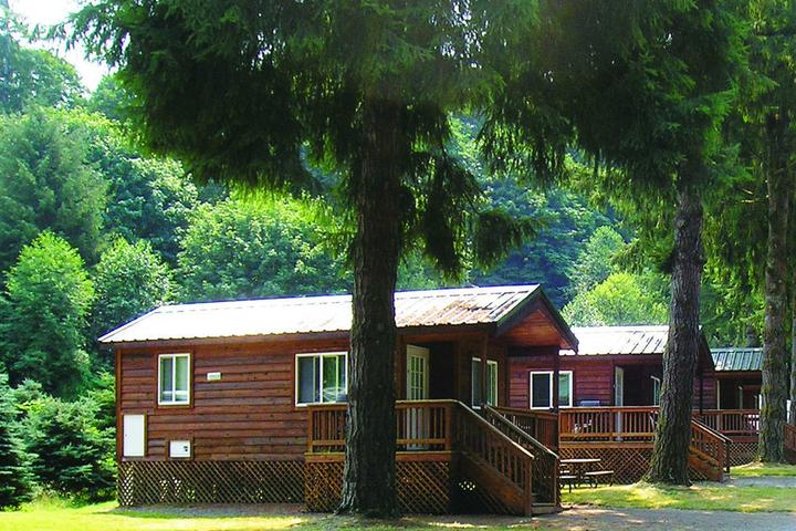 Pet Friendly Thunderbird RV & Camping Resort