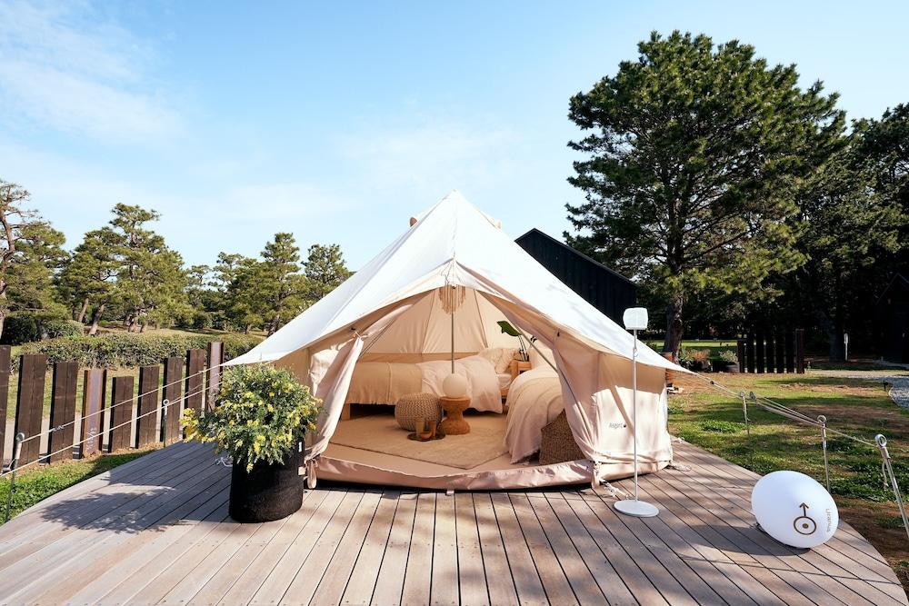 Pet Friendly Small Planet CAMP&GRILL - Glamping
