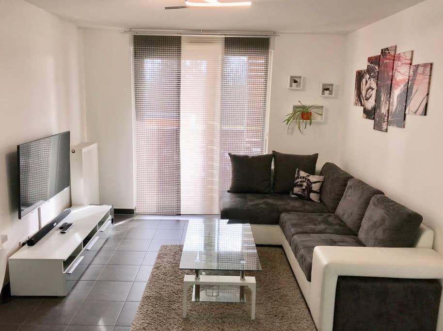 Pet Friendly Vacation Rentals In Strasbourg Fr Bringfido