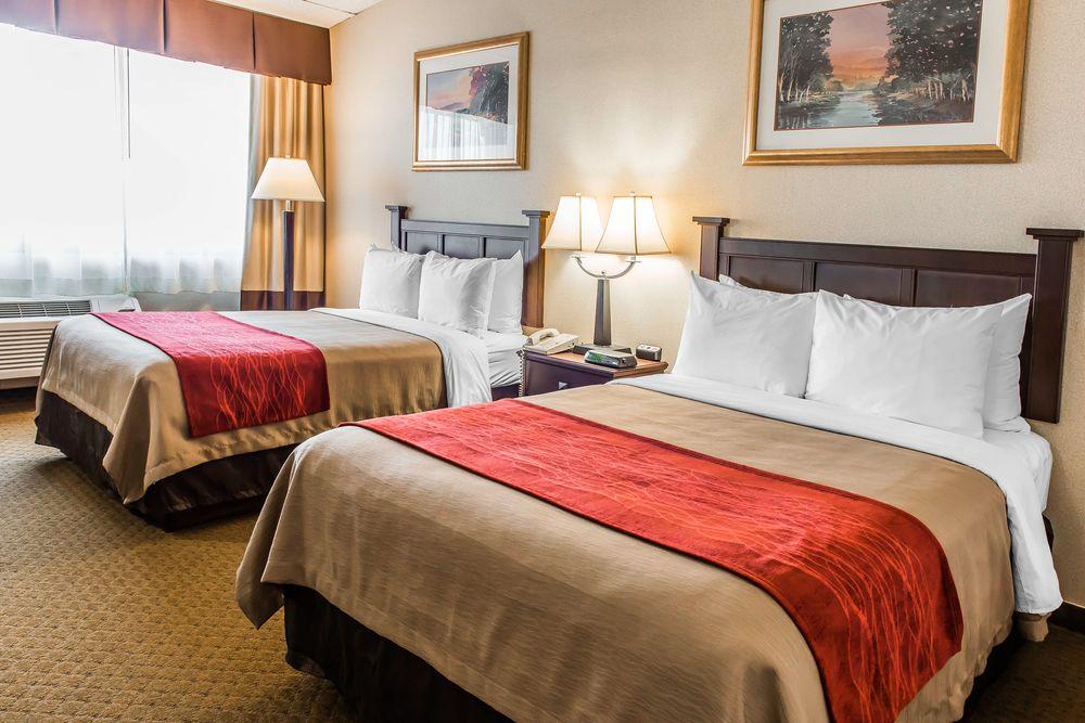 Comfort Inn Somerset Pet Policy