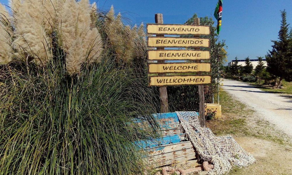 Camping Lilybeo Village Pet Policy - 