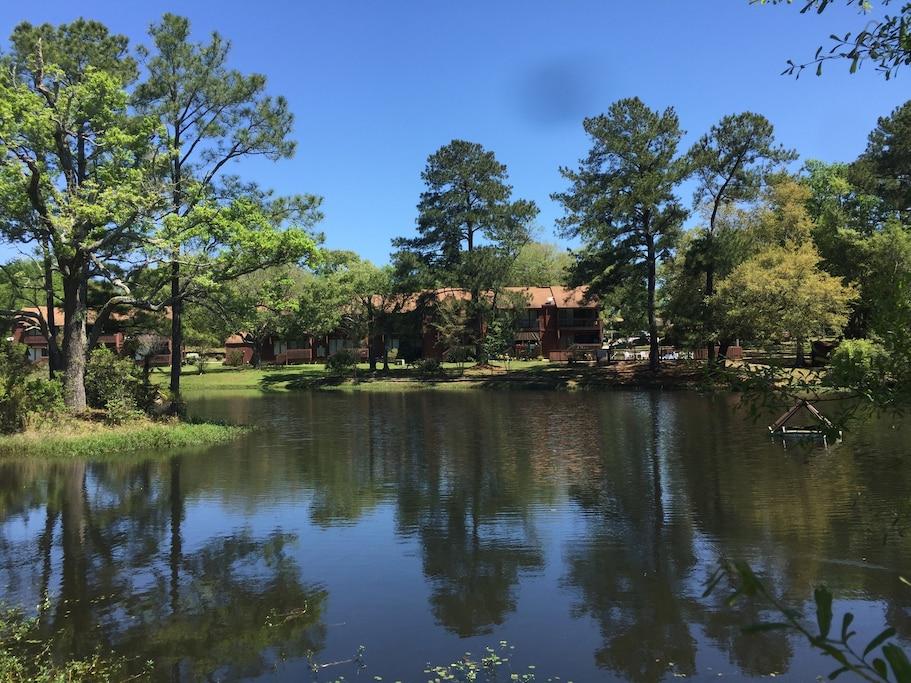 Carriere Airbnb Rentals Pet Policy