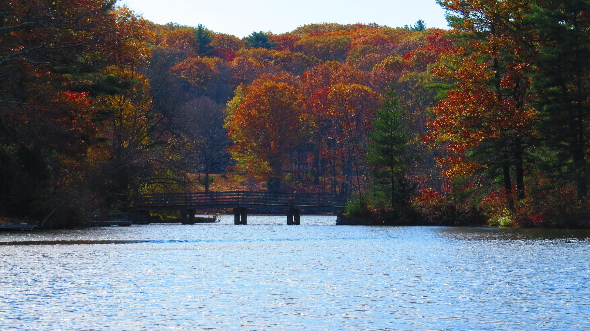 Pet Friendly Waterfront Lake Home on Tranquil Harwinton Lake