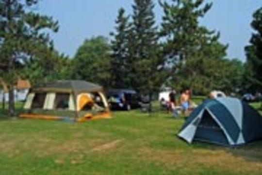 Pet Friendly Campgrounds In Watertown Ny Bringfido