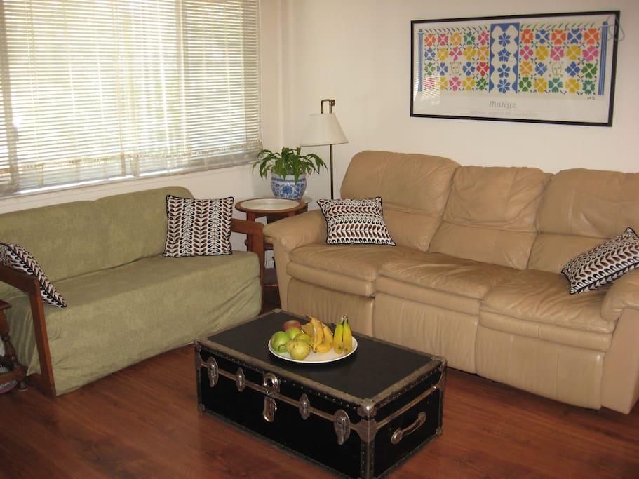 Pet Friendly Corte Madera Airbnb Rentals