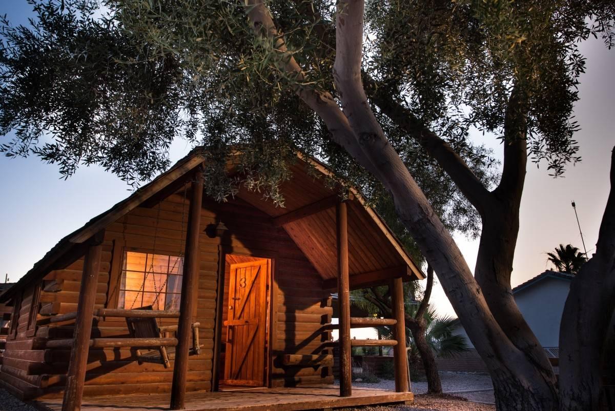 Pet Friendly Vacation Rentals In Ehrenberg Az Bringfido