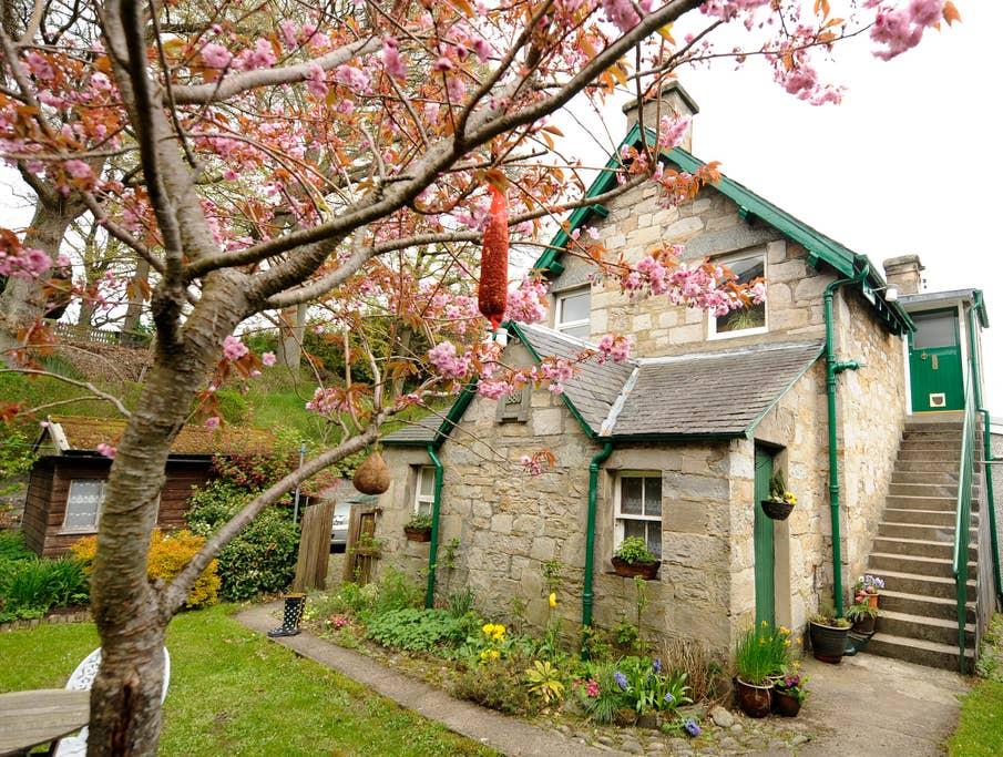 Pitlochry Airbnb Rentals Pet Policy