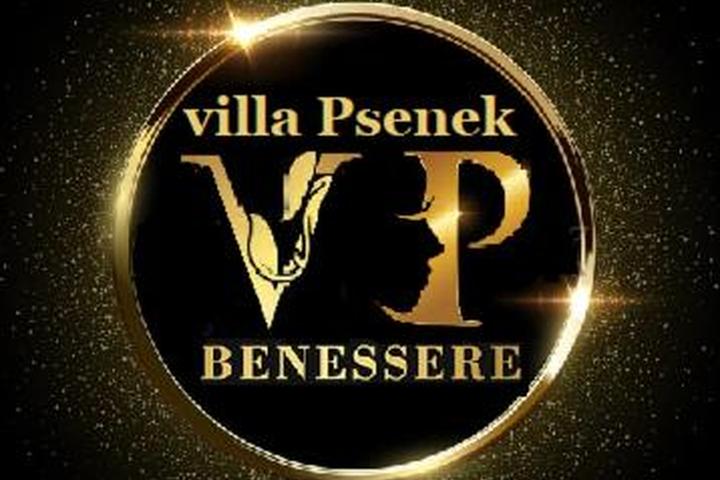 Pet Friendly Villa Psenek