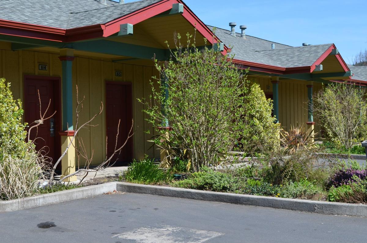 Pet Friendly Hotels In Cottage Grove Or Bringfido