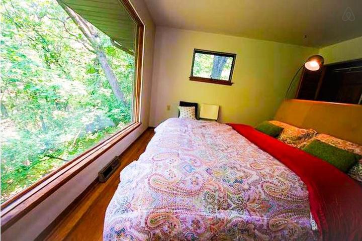 Pet Friendly Hobart Airbnb Rentals