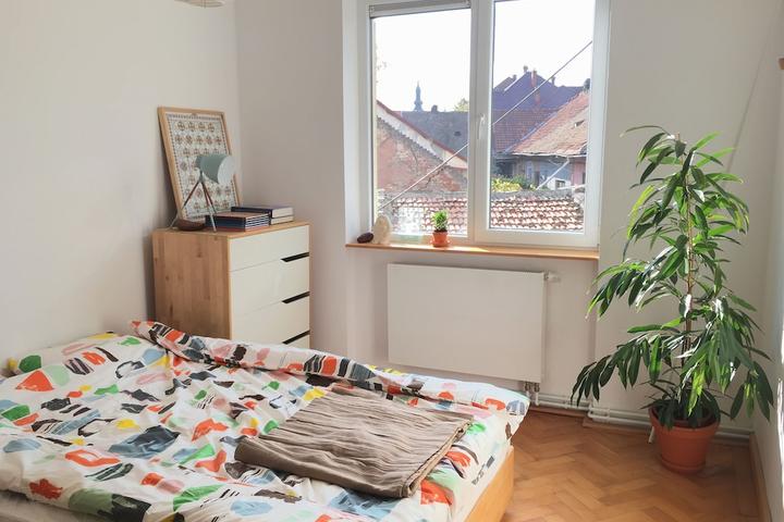 Pet Friendly Comfy Apartment in Central Timisoara