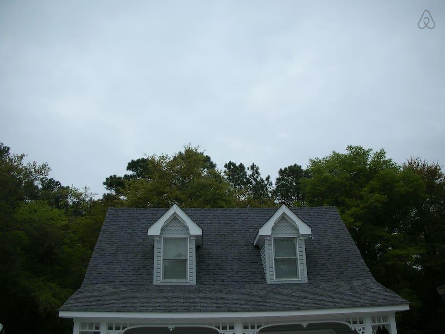Manteo Airbnb Rentals Pet Policy