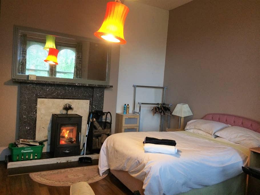 Pet Friendly Dundee Airbnb Rentals
