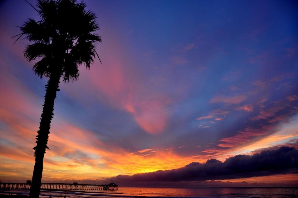 Imperial Beach Pet Policy