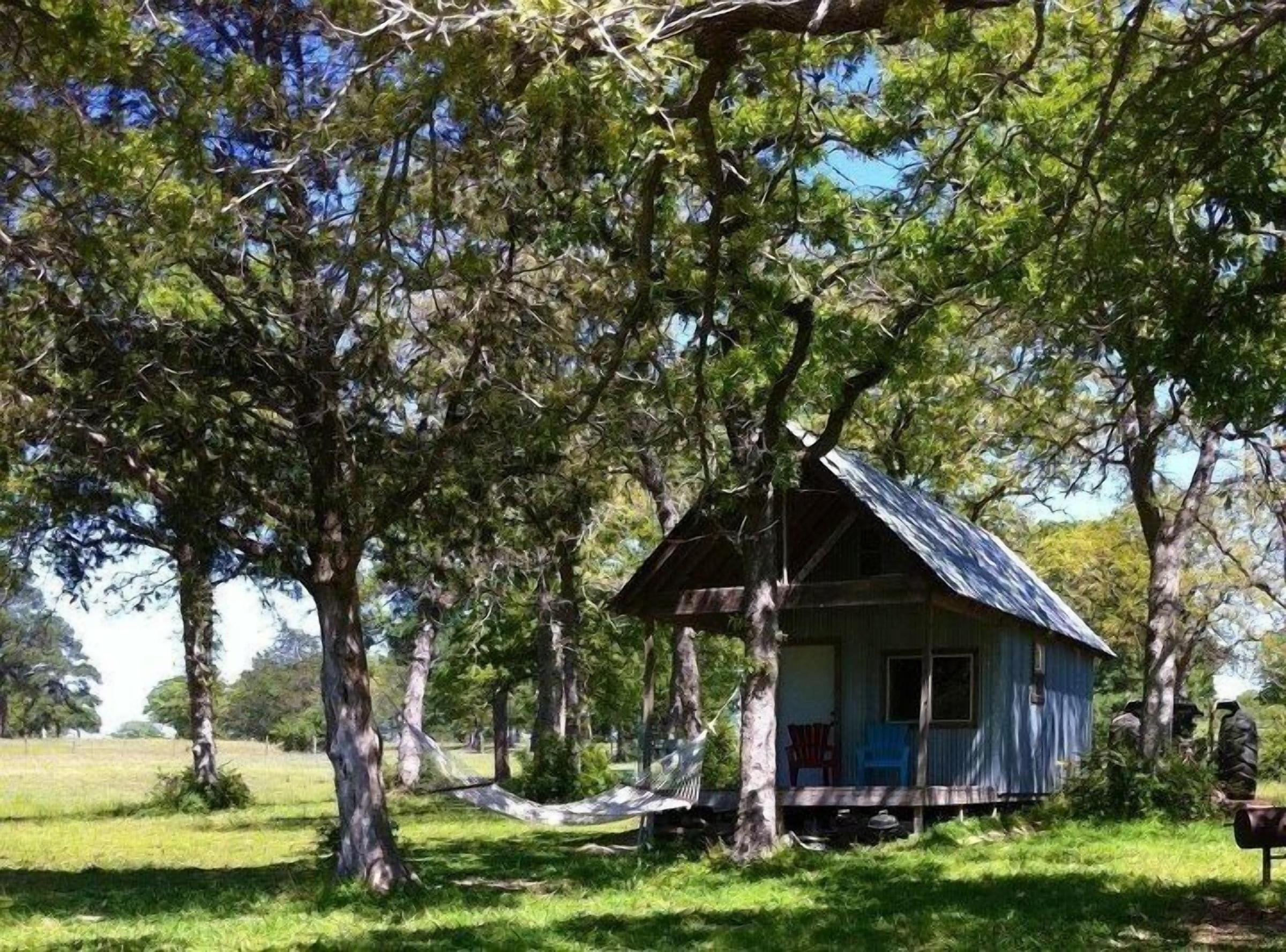 Pet Friendly Cabin in Bastrop County