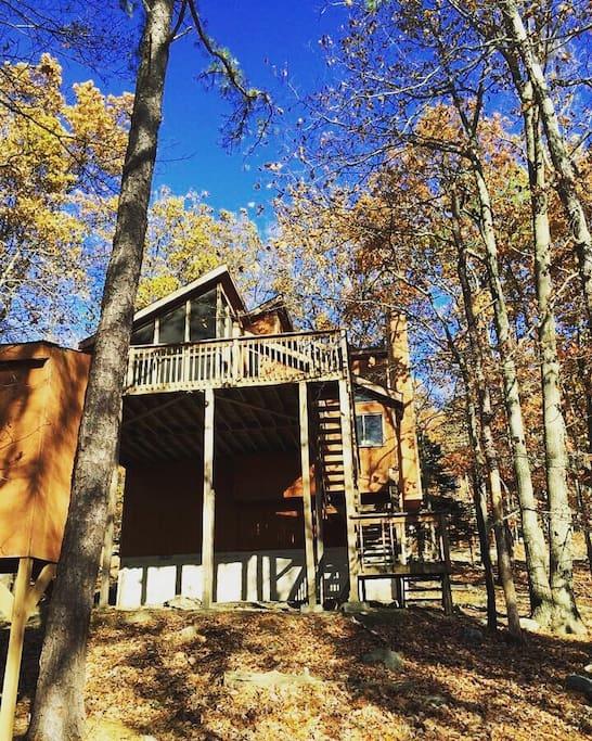 Pet Friendly Bushkill Airbnb Rentals