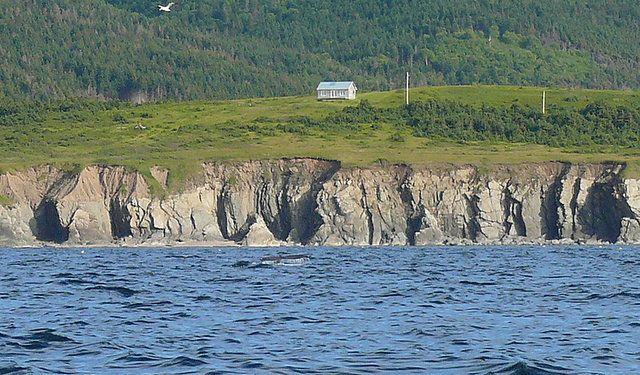 Pet Friendly Vacation Rentals In Nova Scotia Bringfido