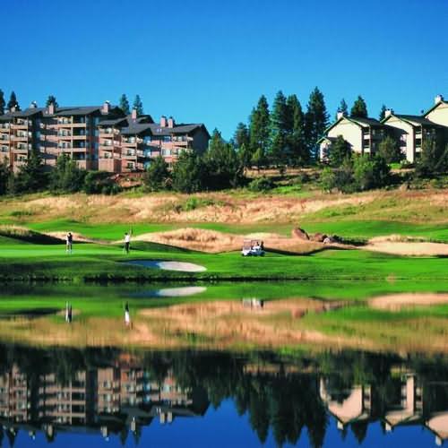 Worldmark Running Y Pet Policy