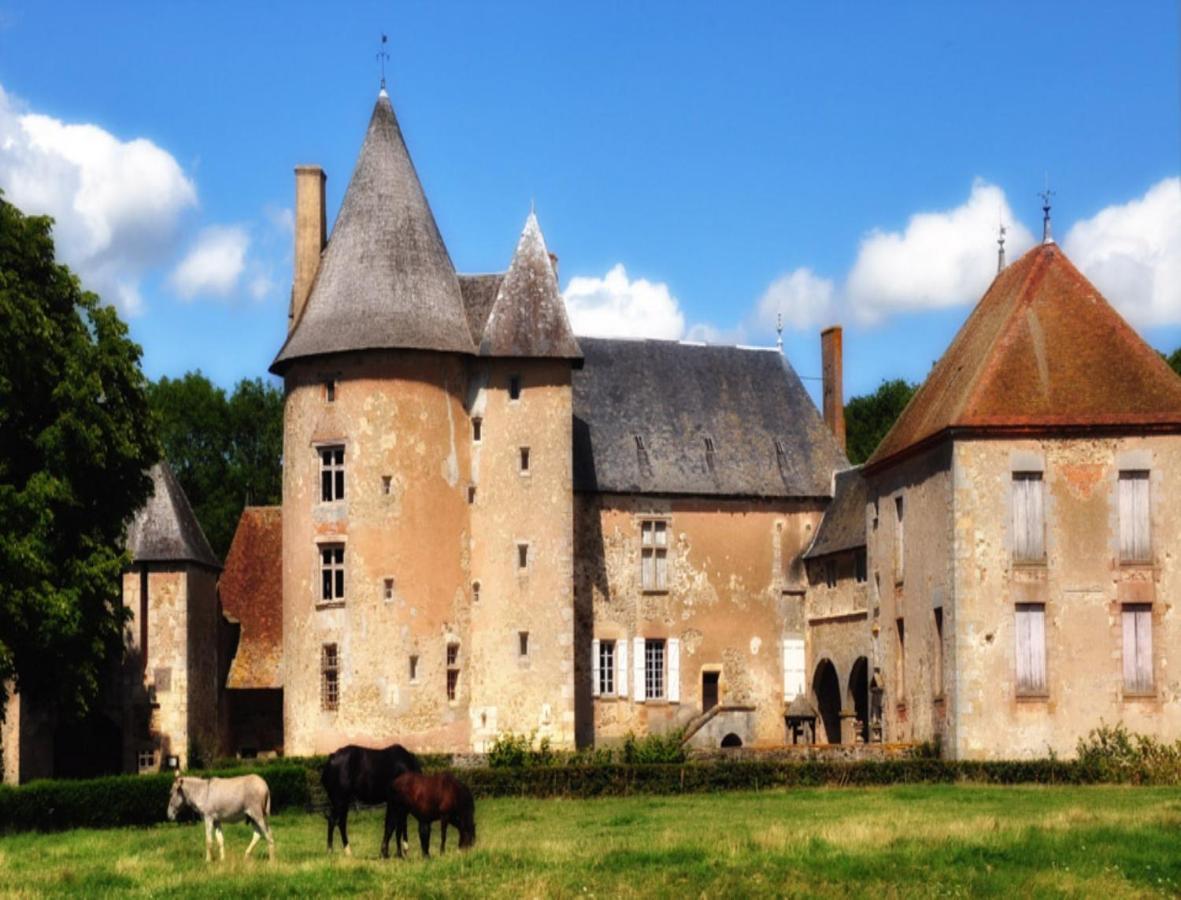 Pet Friendly Château du Max