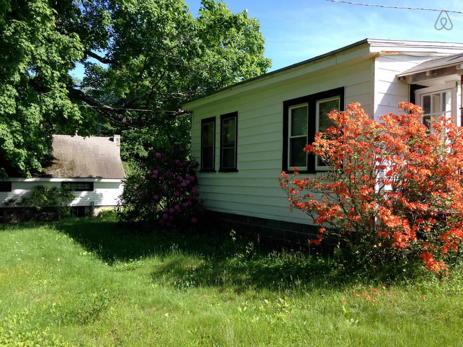 Becket Airbnb Rentals Pet Policy