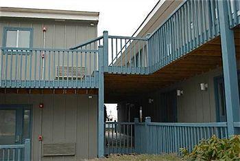 Pet Friendly Hotels in Montauk, NY BringFido