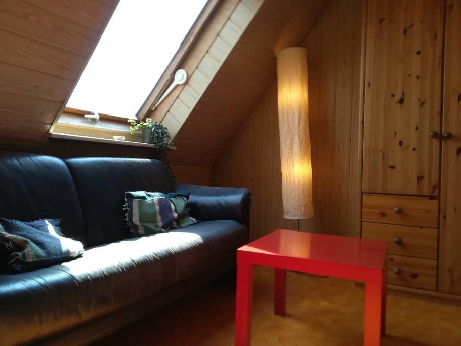 Pet Friendly Kuenzell Airbnb Rentals