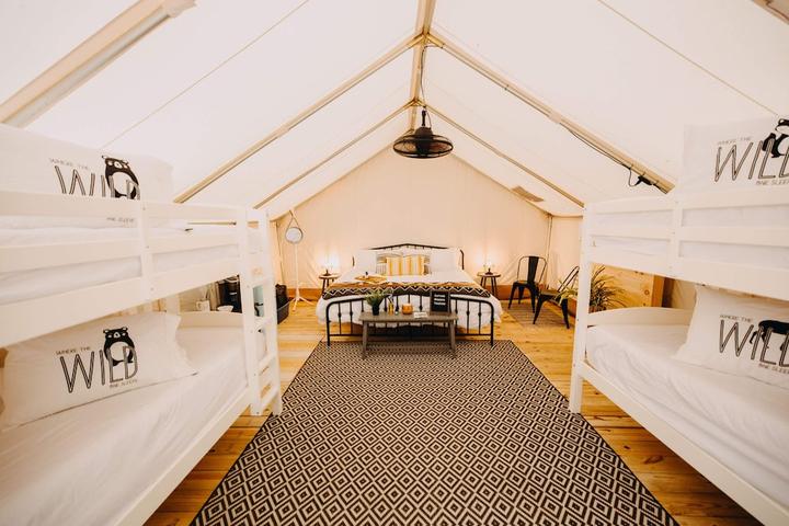 Pet Friendly Timberline Glamping at Unicoi State Park