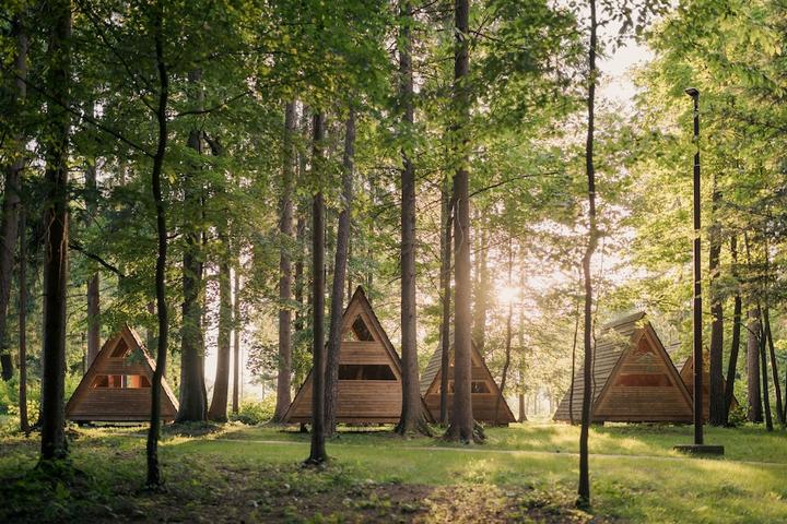 Pet Friendly Forest Camping Mozirje