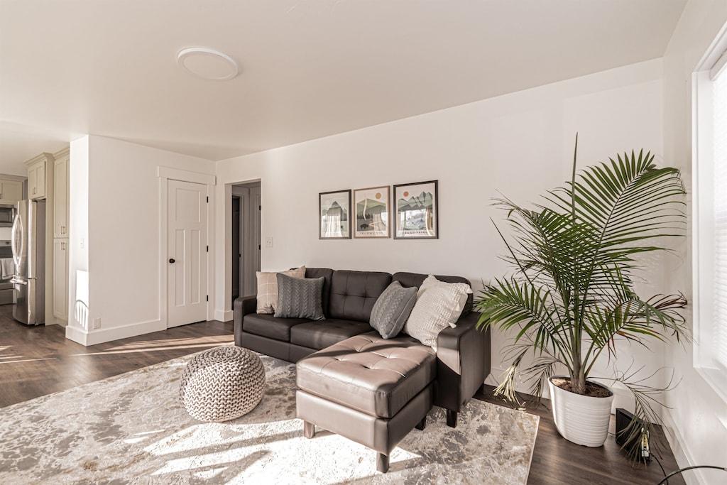 Professionally Designed Central Idaho Falls Home Pet Policy