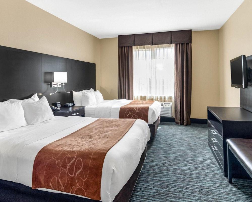 Comfort Suites Odessa Pet Policy