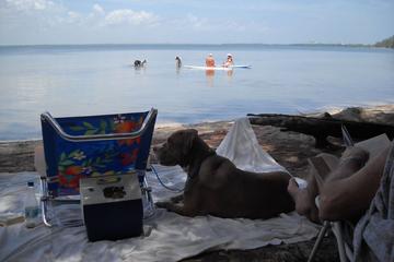 Pet Friendly Hotels In Jensen Beach Fl Bringfido