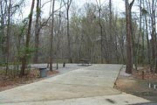 Pet Friendly Isaac Creek Campground