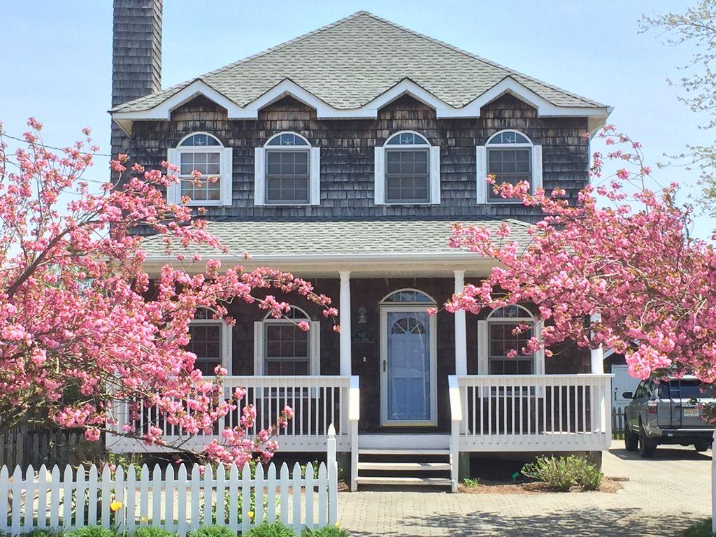 Bay head nj summer rentals