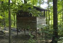 Pet Friendly The Treehouse Camp at Maple Tree Campground