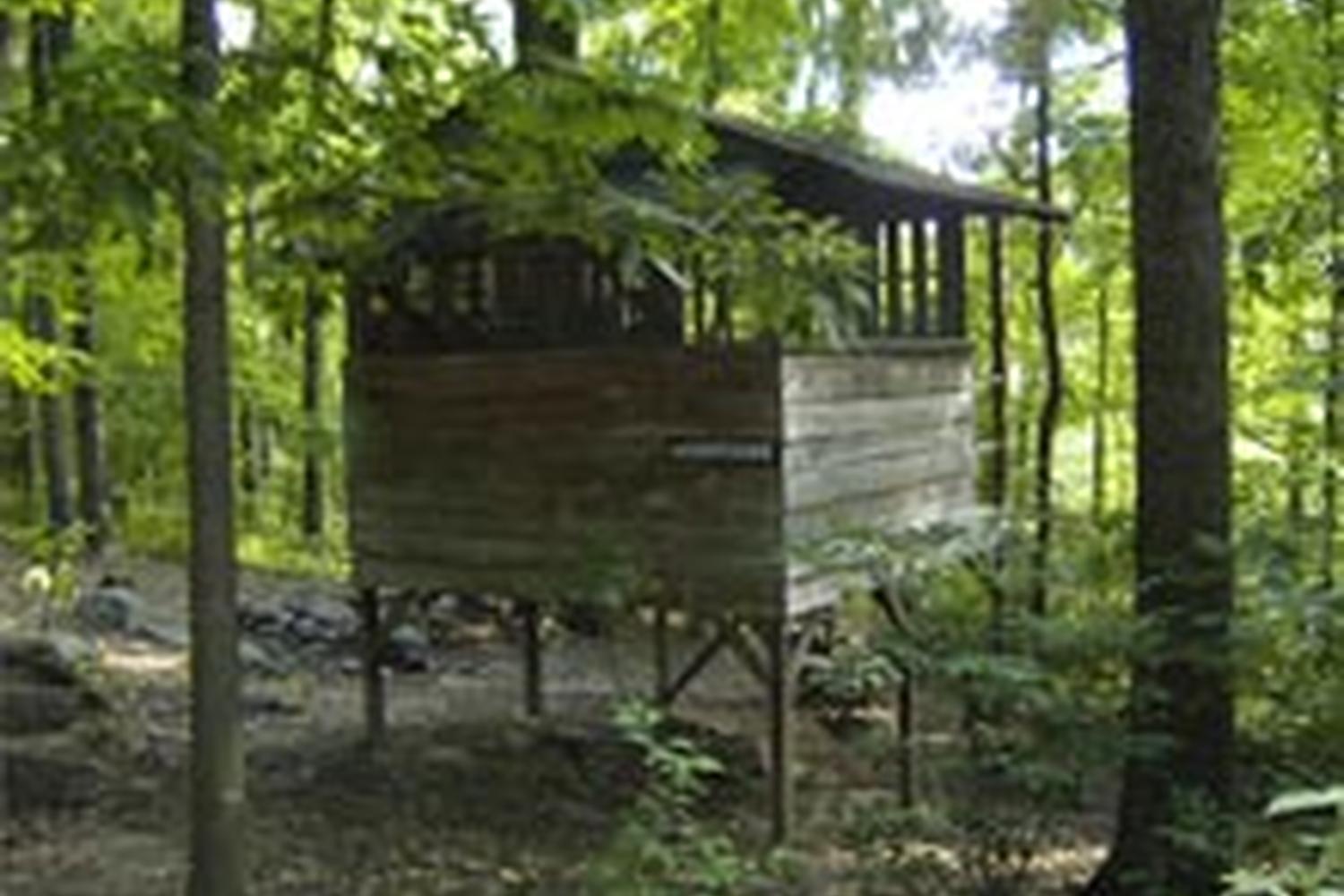 The Treehouse Camp At Maple Tree Campground Pet Policy The Treehouse Camp At Maple Tree Campground Pet Policy