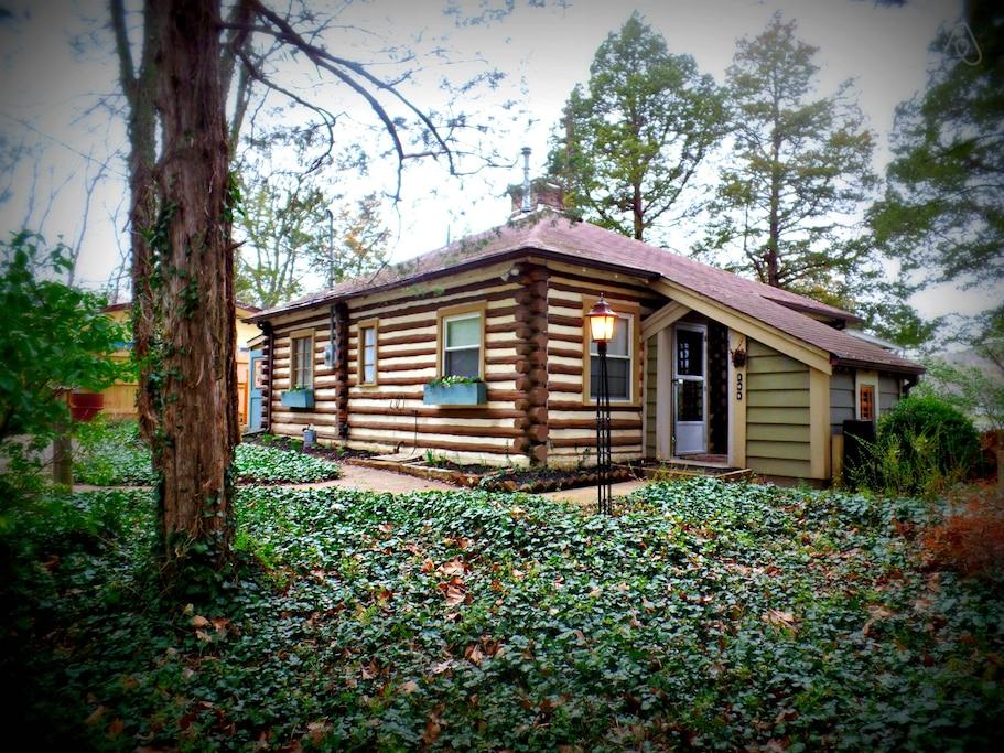 Pet Friendly Hillsboro Airbnb Rentals