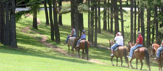 Picture of Barren River Lake State Park Campground, a pet friendly campground in Lucas, KY. Picture of Barren River Lake State Park Campground, a pet friendly campground in Lucas, KY.