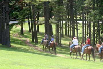 Barren River Lake State Park Campground Pet Policy