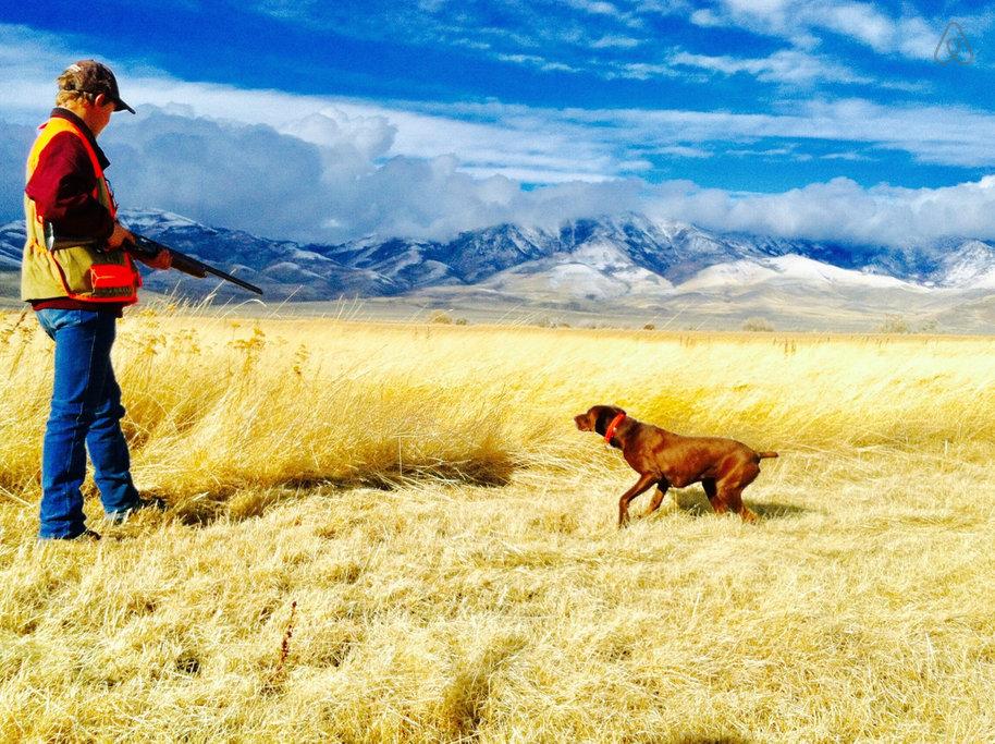 Winnemucca Airbnb Rentals Pet Policy